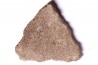 dinosaur titanosaur saltasaurus egg shell