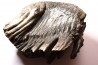 PATHOLOGIQUAL MAMMOTH TOOTH: Mammuthus primigenius // Pléistocène // Zemst, Belgium