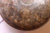 Harpoceras subplanatum - TOARCIEN - Carriere Belmont - LYON - FRANCE