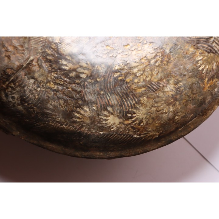 Harpoceras subplanatum - TOARCIEN - Carriere Belmont - LYON - FRANCE