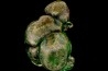 Malachite, Shilu Mine, Guangdong Province, China