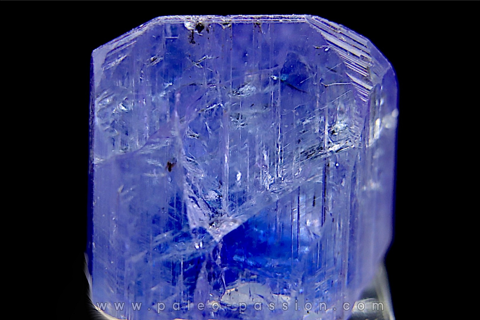 ZOISITE var TANZANITE - Merelani Hills, Arusha Province TANZANIA