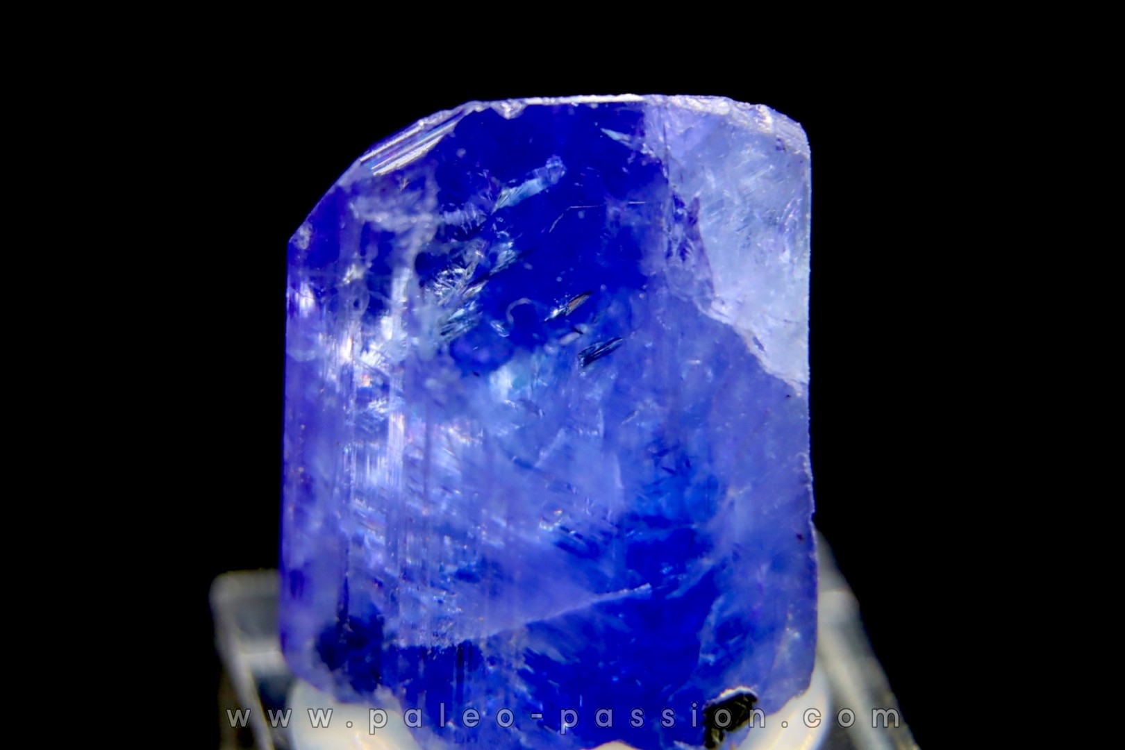 ZOISITE var TANZANITE - Merelani Hills, Arusha Province, TANZANIE