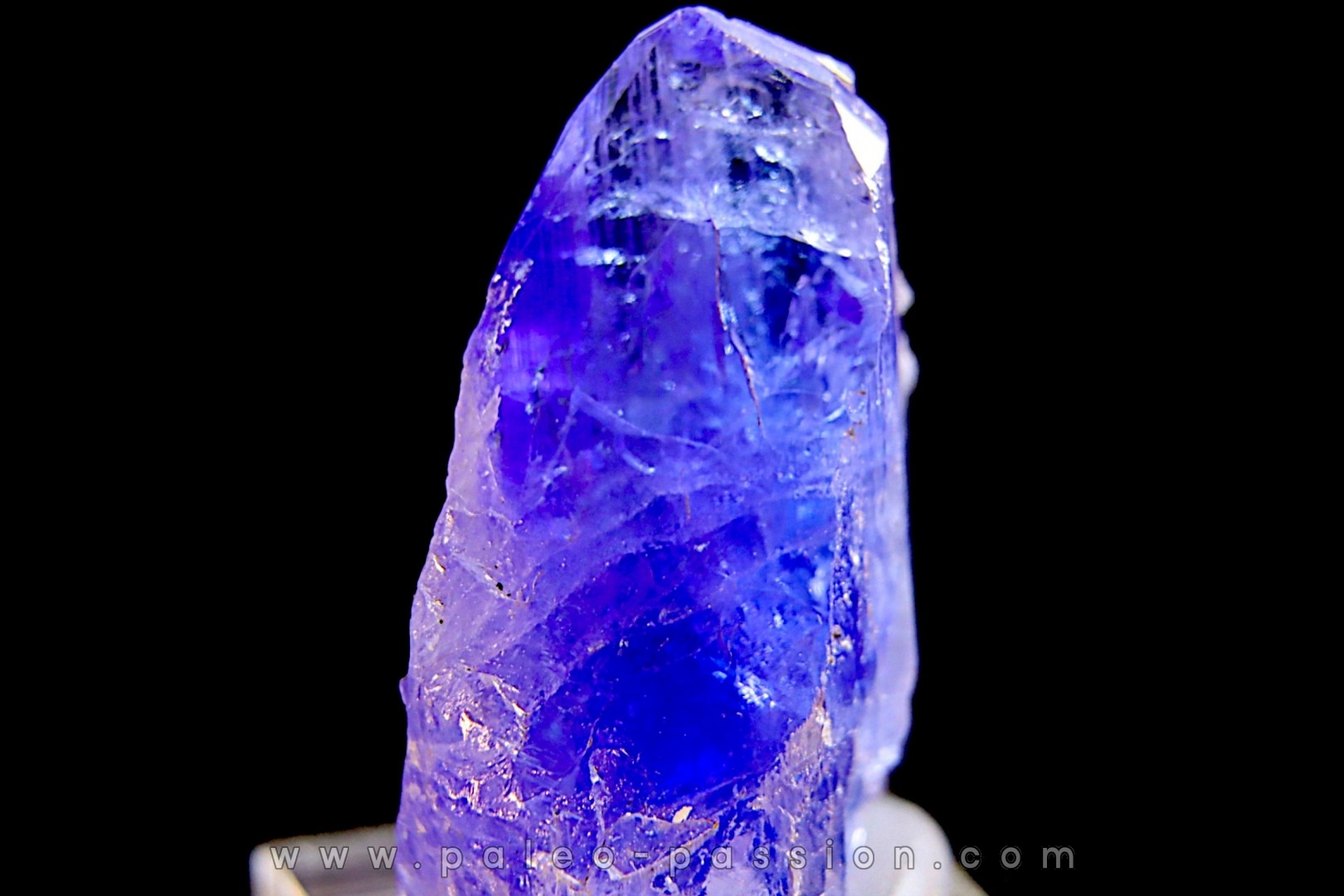 ZOISITE var TANZANITE - Merelani Hills, Arusha Province, TANZANIE