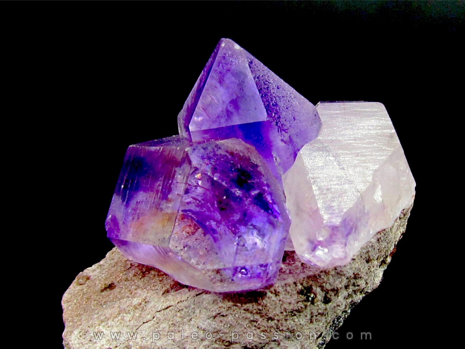 Quartz Amethyst sur gangue