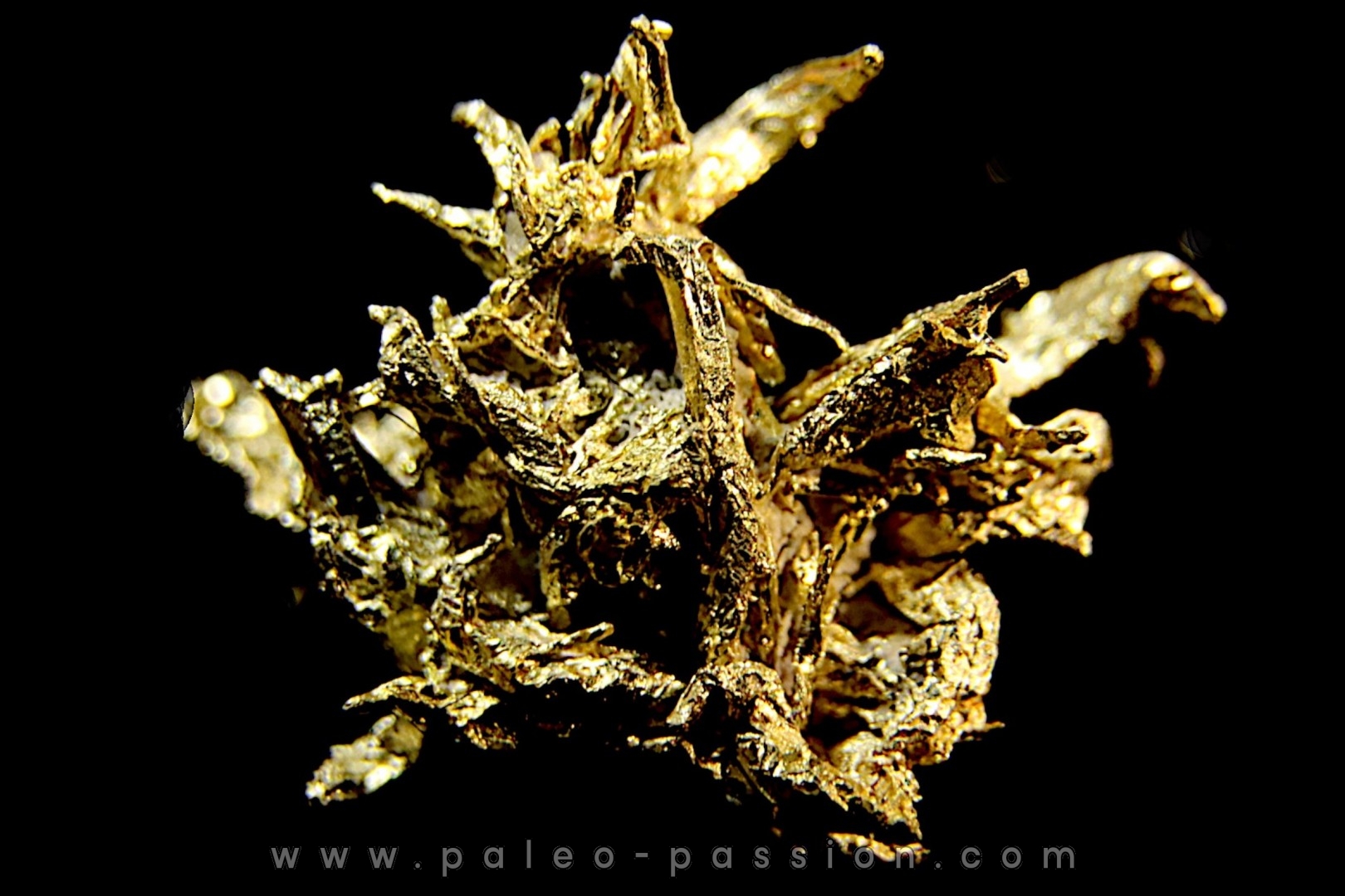 native gold Olinghouse Mine, Washoe County, Nevada, USA
