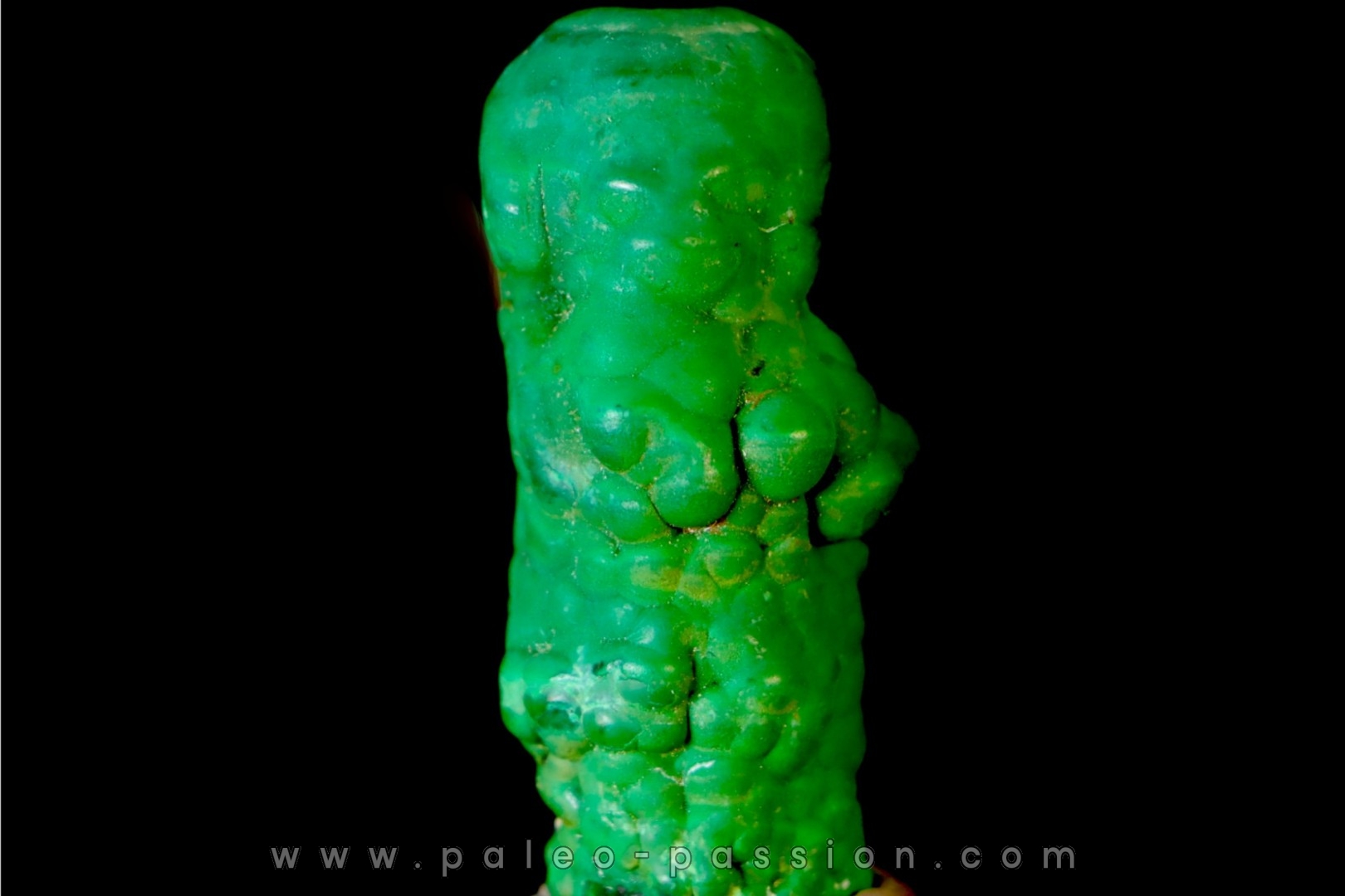 Malachite Concretion - Star of Congo mine - Katanga, RDC