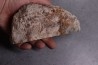 coprolithe de dinosaure - jurassique - Morrison Formation