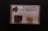 coffret vitré ivoire et poils de MAMMOUTH
