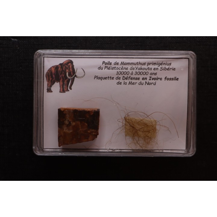 MAMMOTH HAIR and ivory