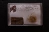 MAMMOTH HAIR and ivory