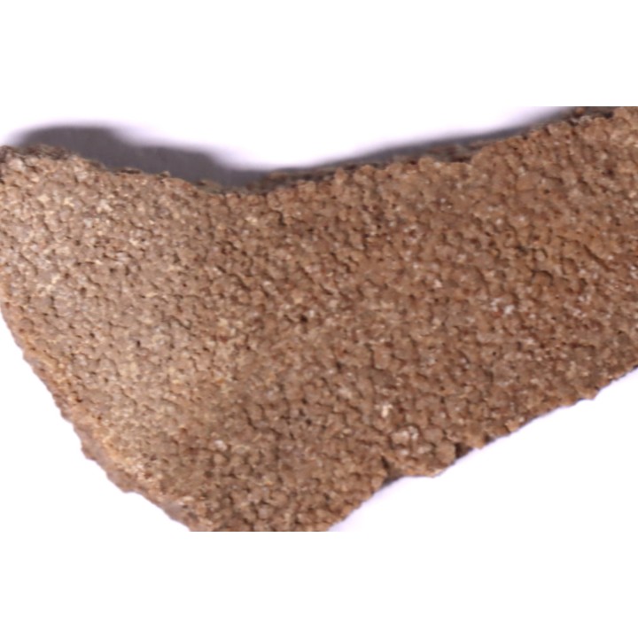 coquille d œuf de dinosaure TITANOSAURE: SALTASAURUS