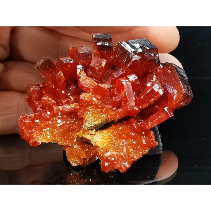 VANADINITE sur BARYTE// Mibladen, Morocco