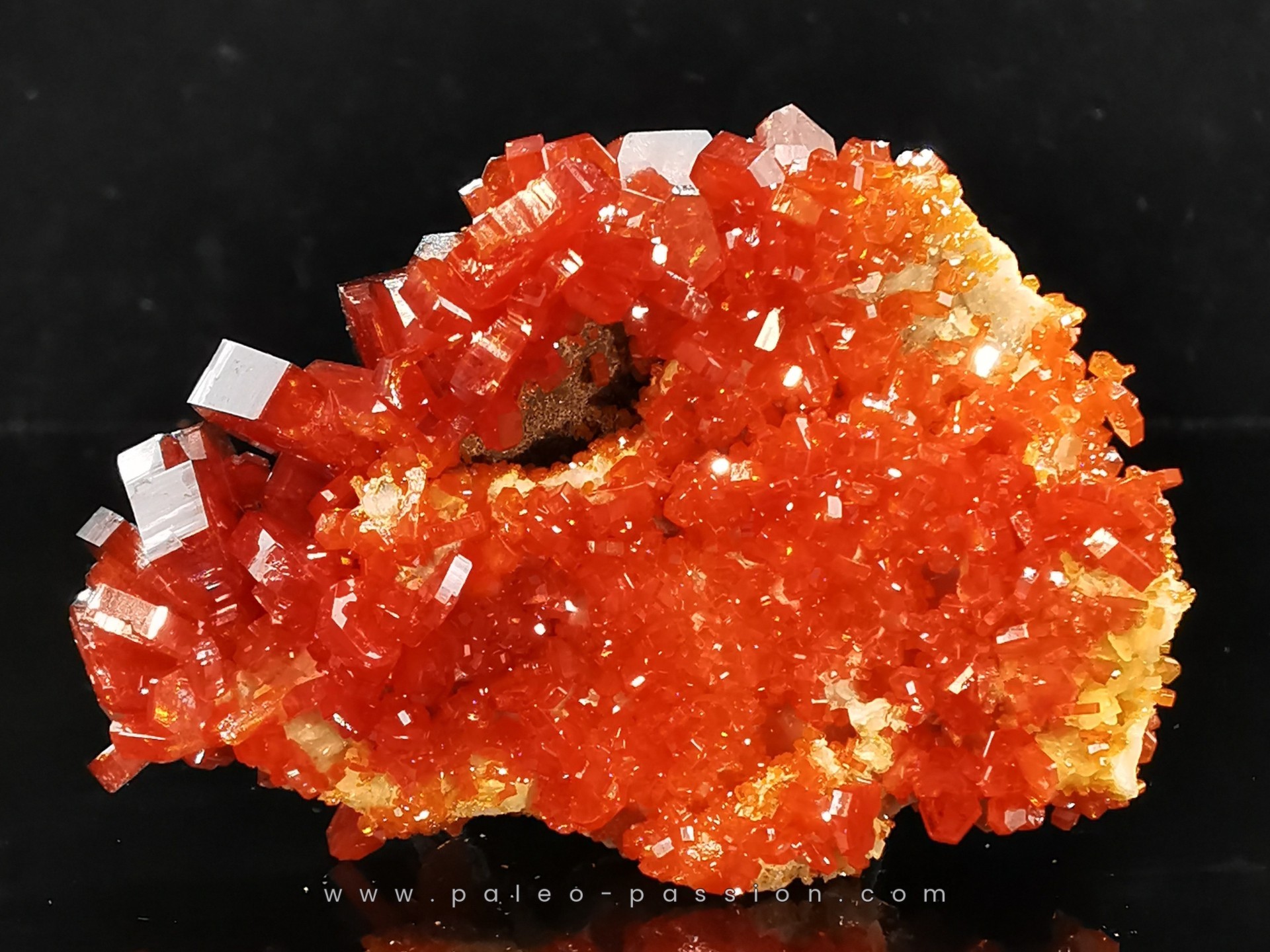 VANADINITE sur BARYTE// Mibladen, Morocco