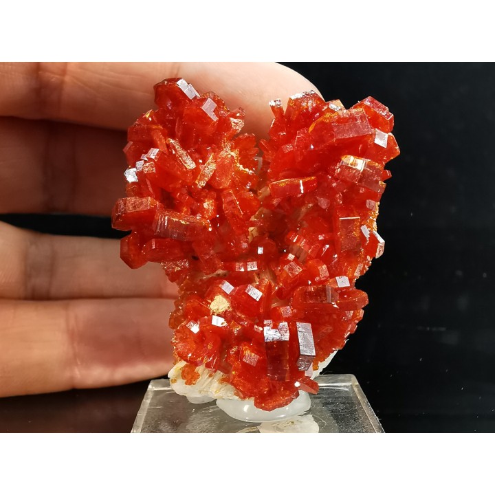 VANADINITE sur BARYTE// Mibladen, Morocco
