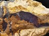OPALE BOULDER - Australia