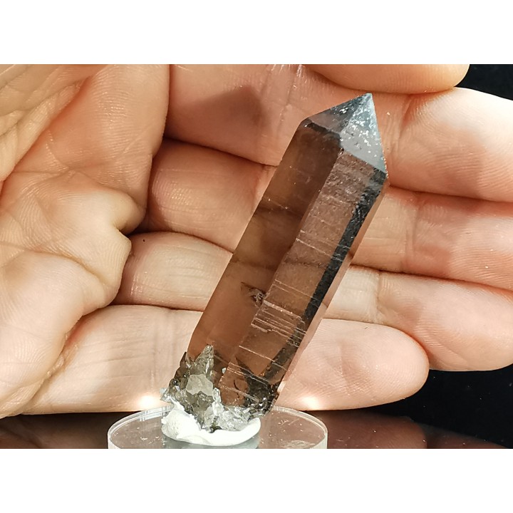 Quartz fumé  Les Rochassiers - MONT BLANC - FRANCE