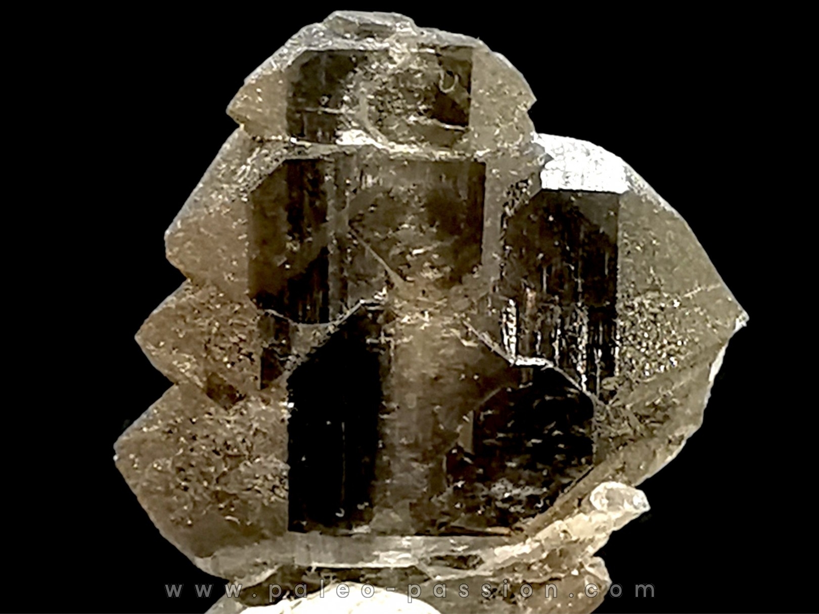 Quartz fumé Les Rochassiers - MONT BLANC - FRANCE