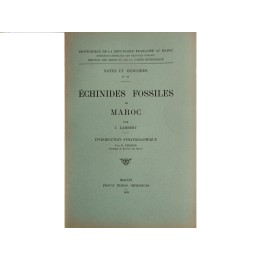ECHINIDES fossiles du Maroc (n°27, 1933)