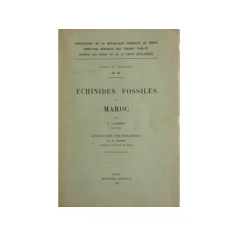 ECHINIDES fossiles du Maroc (n°39, 1937)