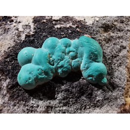 Malachite - Quartz  Bouque payrol, Camares,  Aveyron,  France