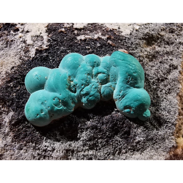 Malachite - Quartz  Bouque payrol, Camares,  Aveyron,  France