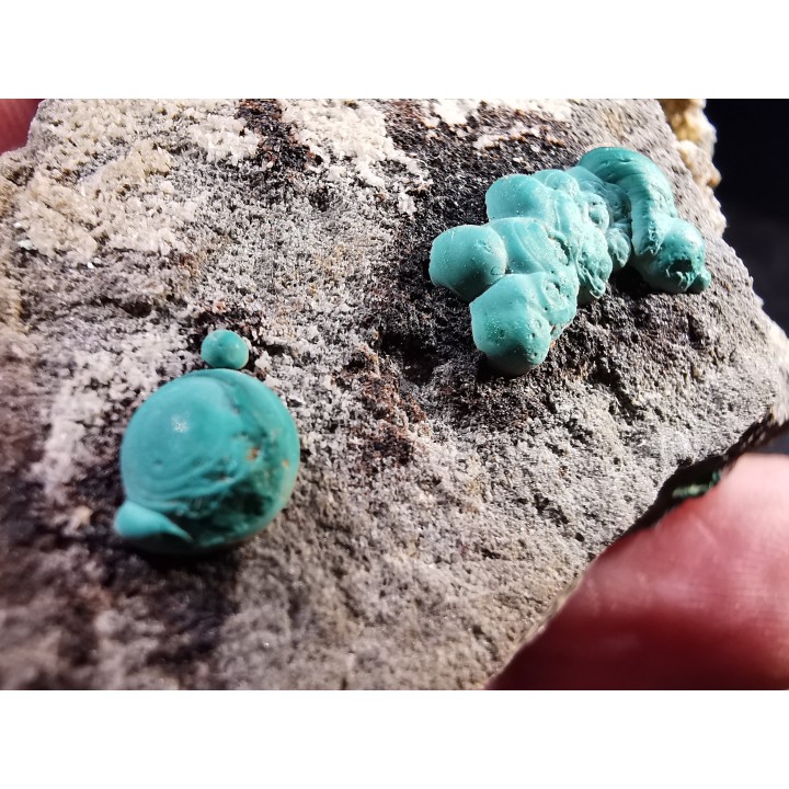 Malachite - Quartz  Bouque payrol, Camares,  Aveyron,  France