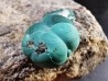 Malachite - Quartz  Bouque payrol, Camares,  Aveyron,  France