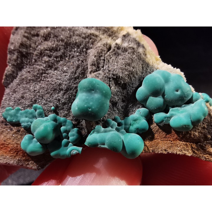 Malachite - Quartz  Bouque payrol, Camares,  Aveyron,  France