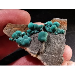 Malachite - Quartz  Bouque payrol, Camares,  Aveyron,  France