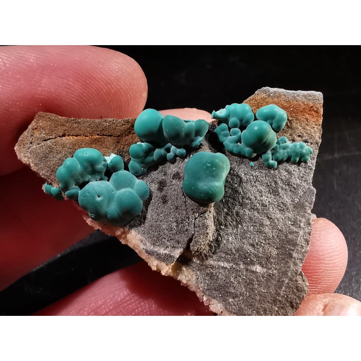 Malachite - Quartz  Bouque payrol, Camares,  Aveyron,  France