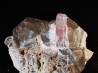 Tourmaline rubellite sur quartz Pakistan
