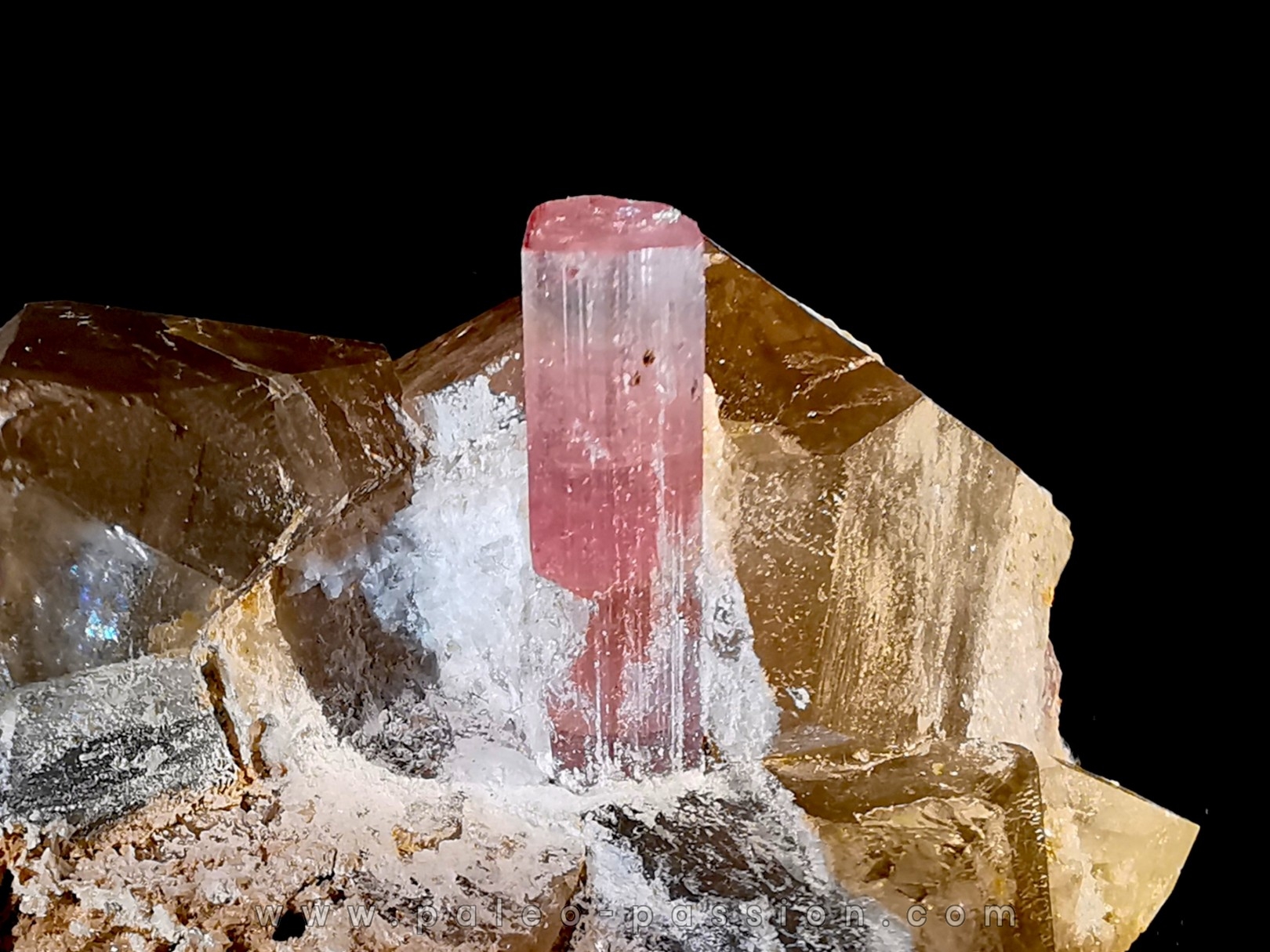 Tourmaline rubellite sur quartz Pakistan