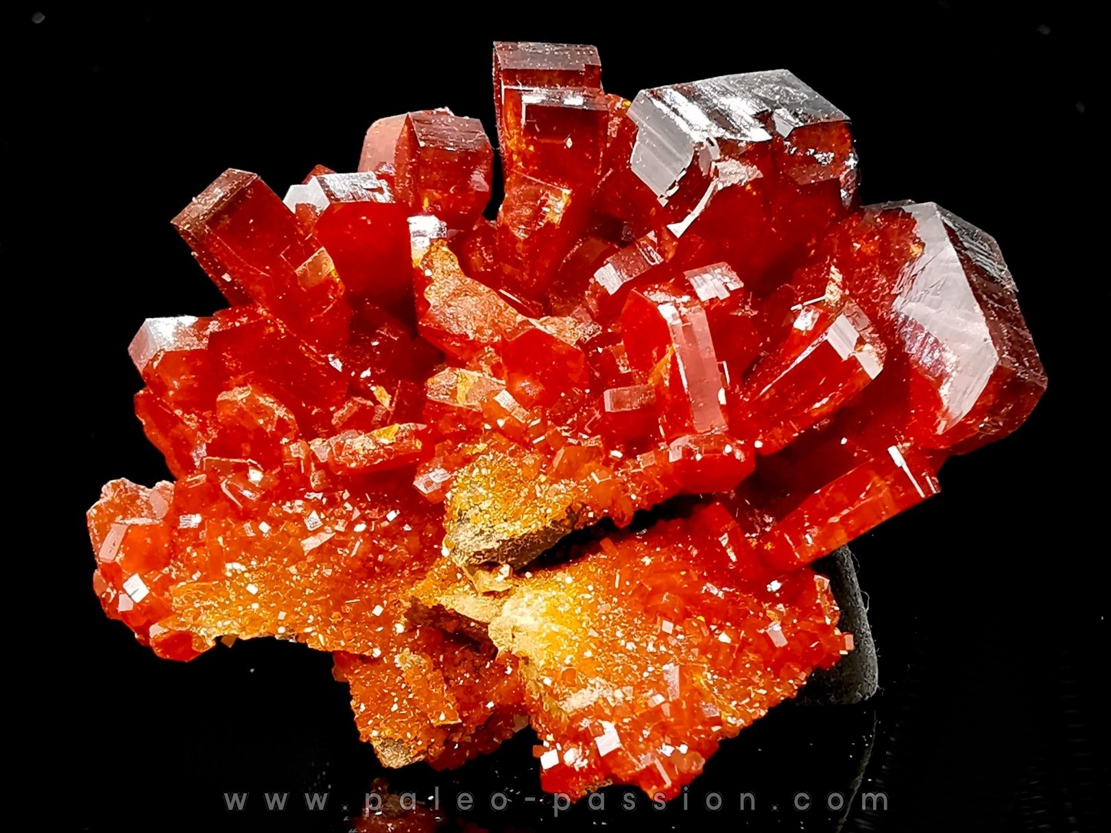 VANADINITE sur BARYTE - Mibladen, Maroc