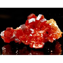 VANADINITE sur BARYTE// Mibladen, Morocco