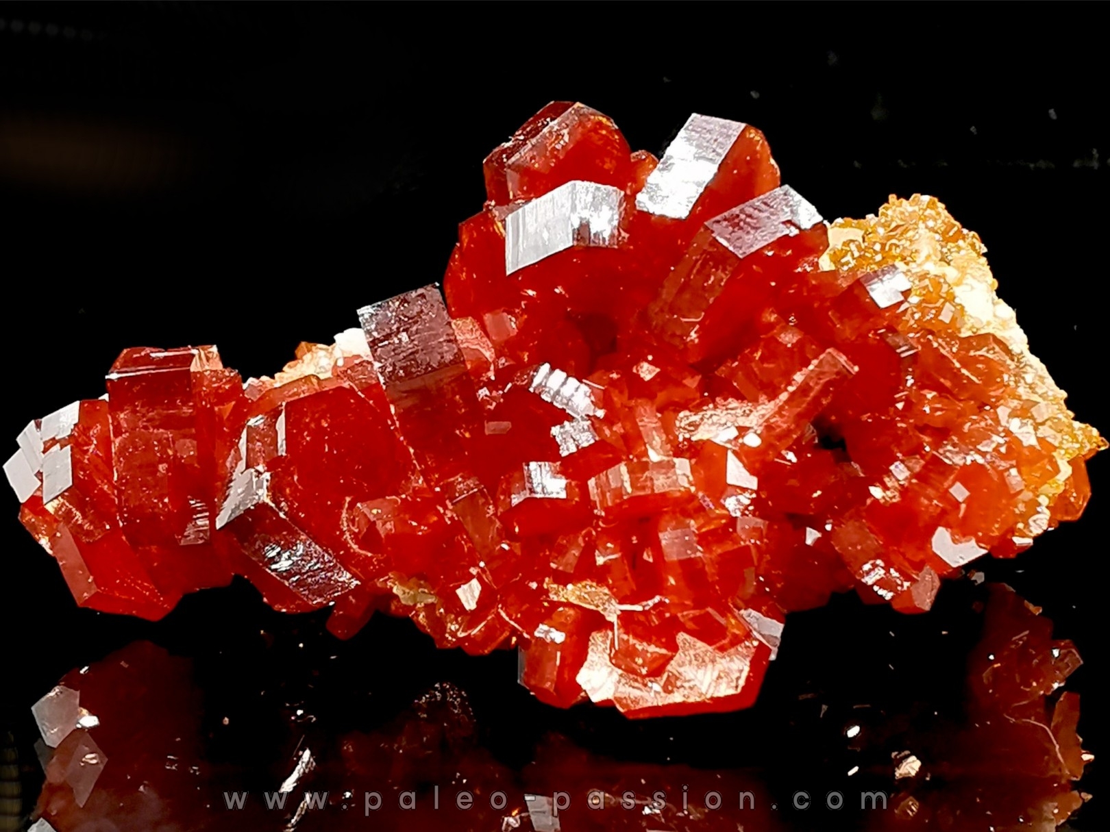 VANADINITE sur BARYTE - Mibladen, Maroc