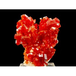 VANADINITE sur BARYTE// Mibladen, Morocco