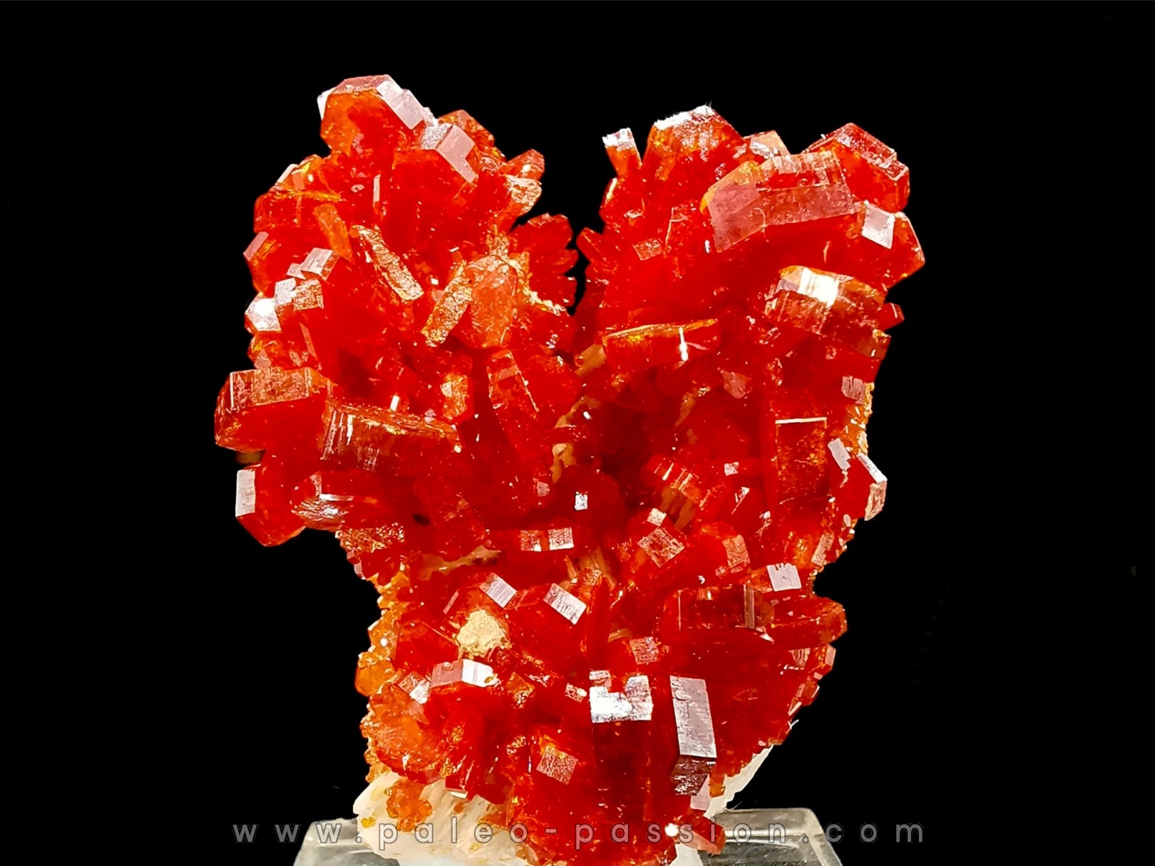 VANADINITE sur BARYTE - Mibladen, Maroc