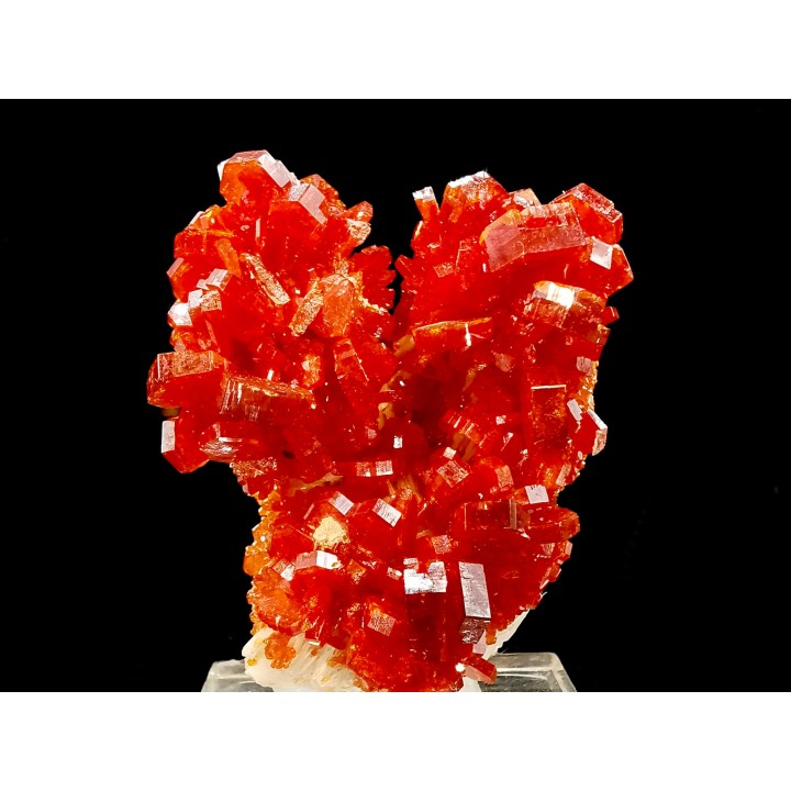 VANADINITE sur BARYTE// Mibladen, Morocco