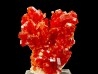VANADINITE sur BARYTE - Mibladen, Maroc
