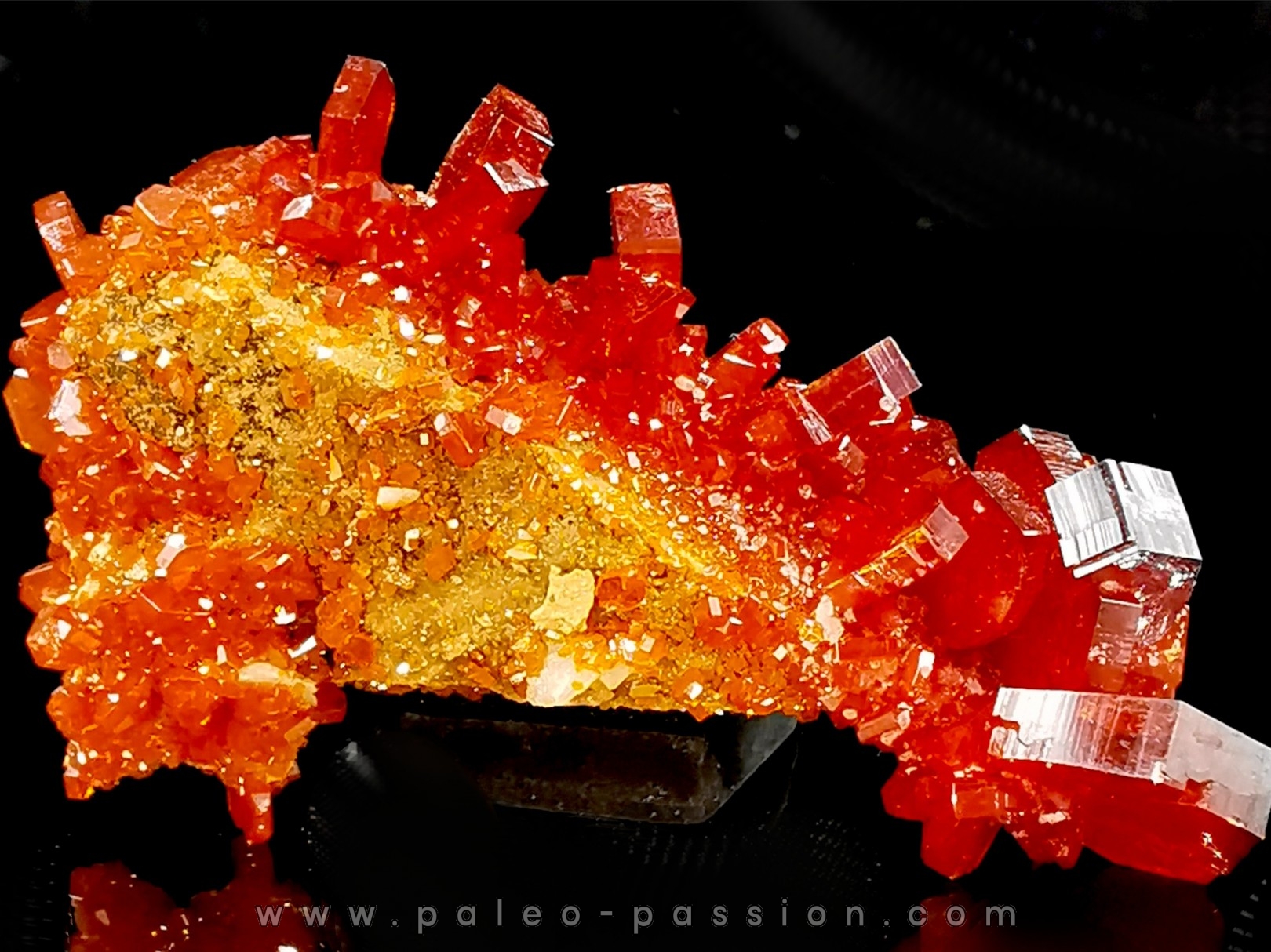 VANADINITE sur BARYTE - Mibladen, Maroc