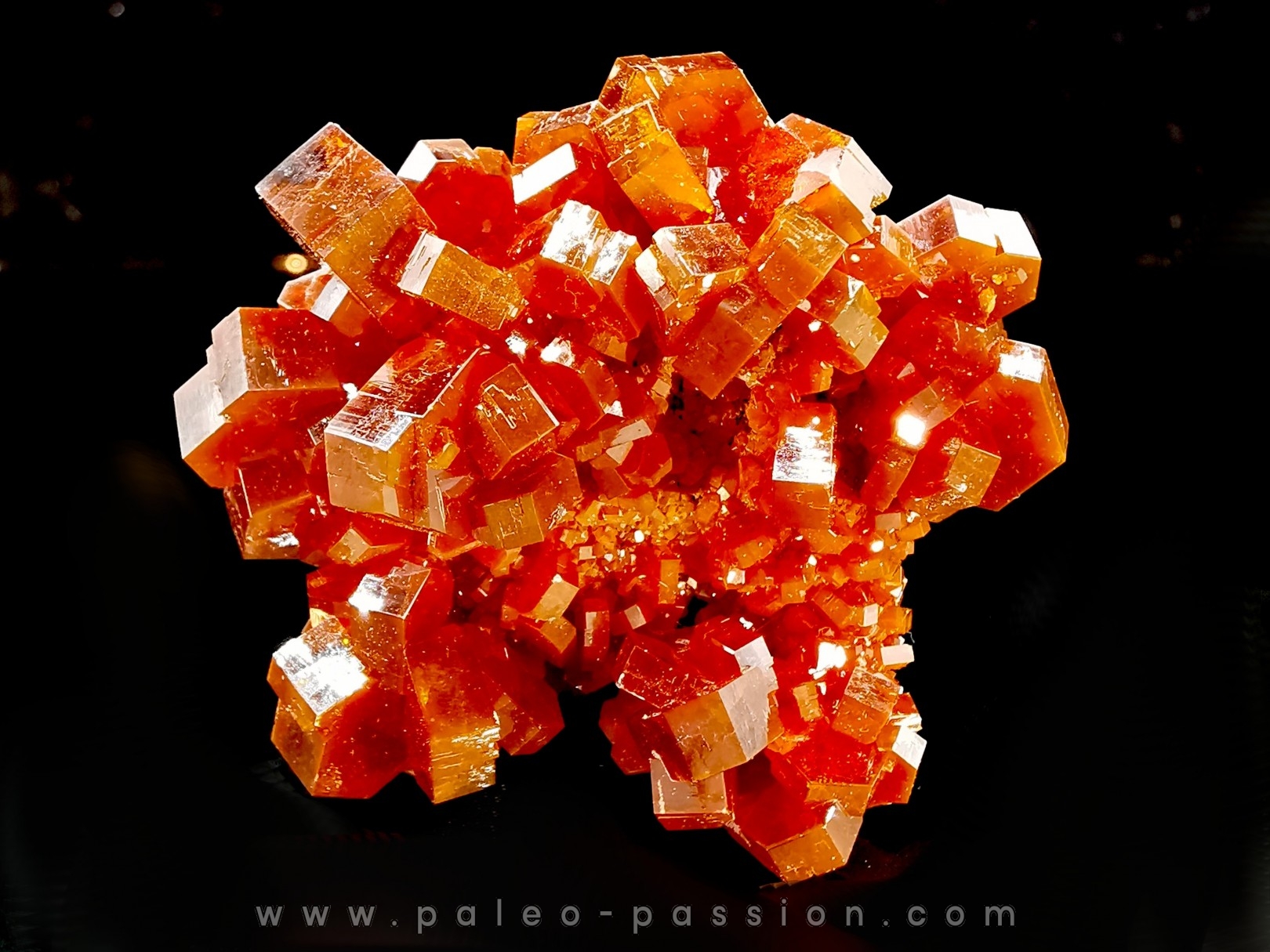VANADINITE sur BARYTE - Mibladen, Maroc