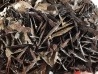 Hematite - mine de Faucogney Saphoz, haute Saone, France