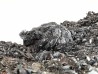 Hematite - mine de Faucogney Saphoz, haute Saone, France