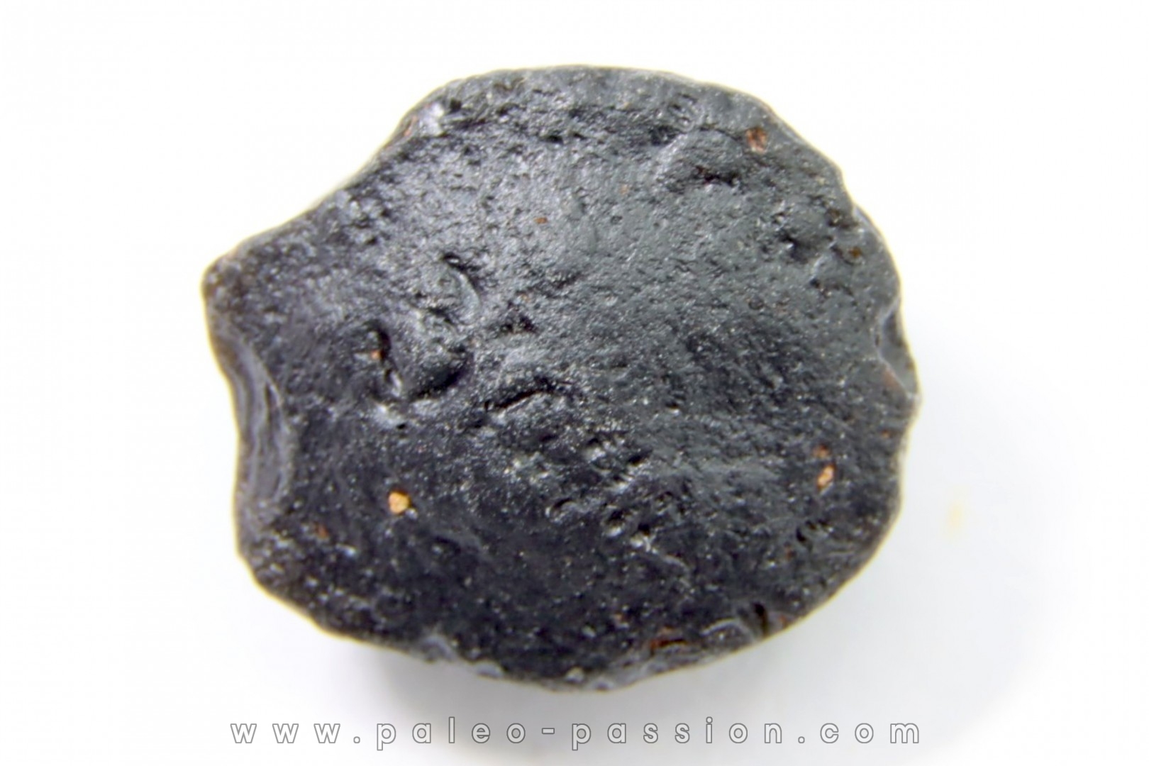 Tektite: AUSTRALITE