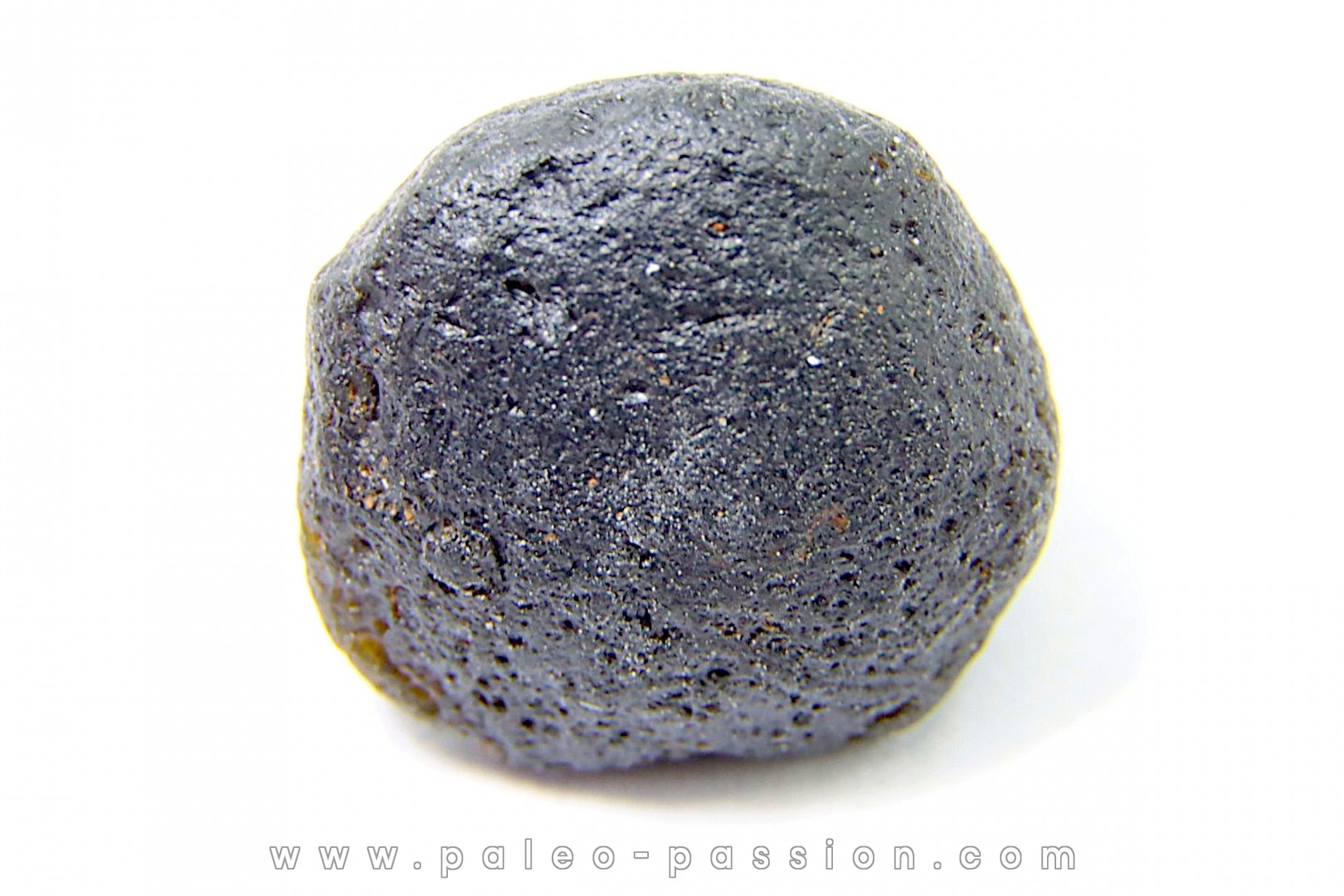 Tectite: AUSTRALITE - Australie