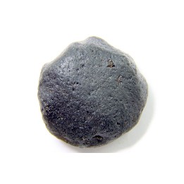 Tectite: AUSTRALITE - Australie