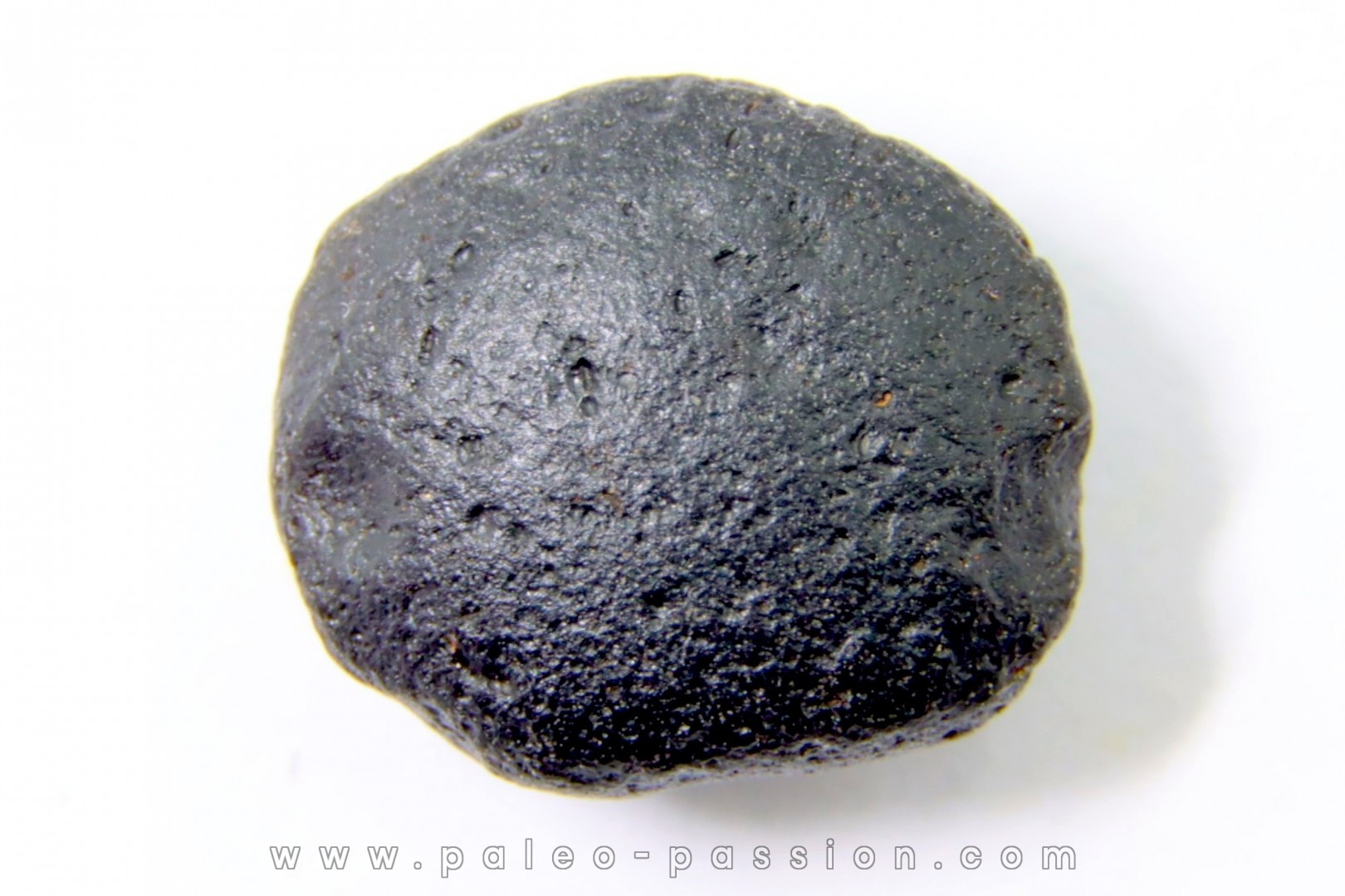 Tectite: AUSTRALITE - Australie