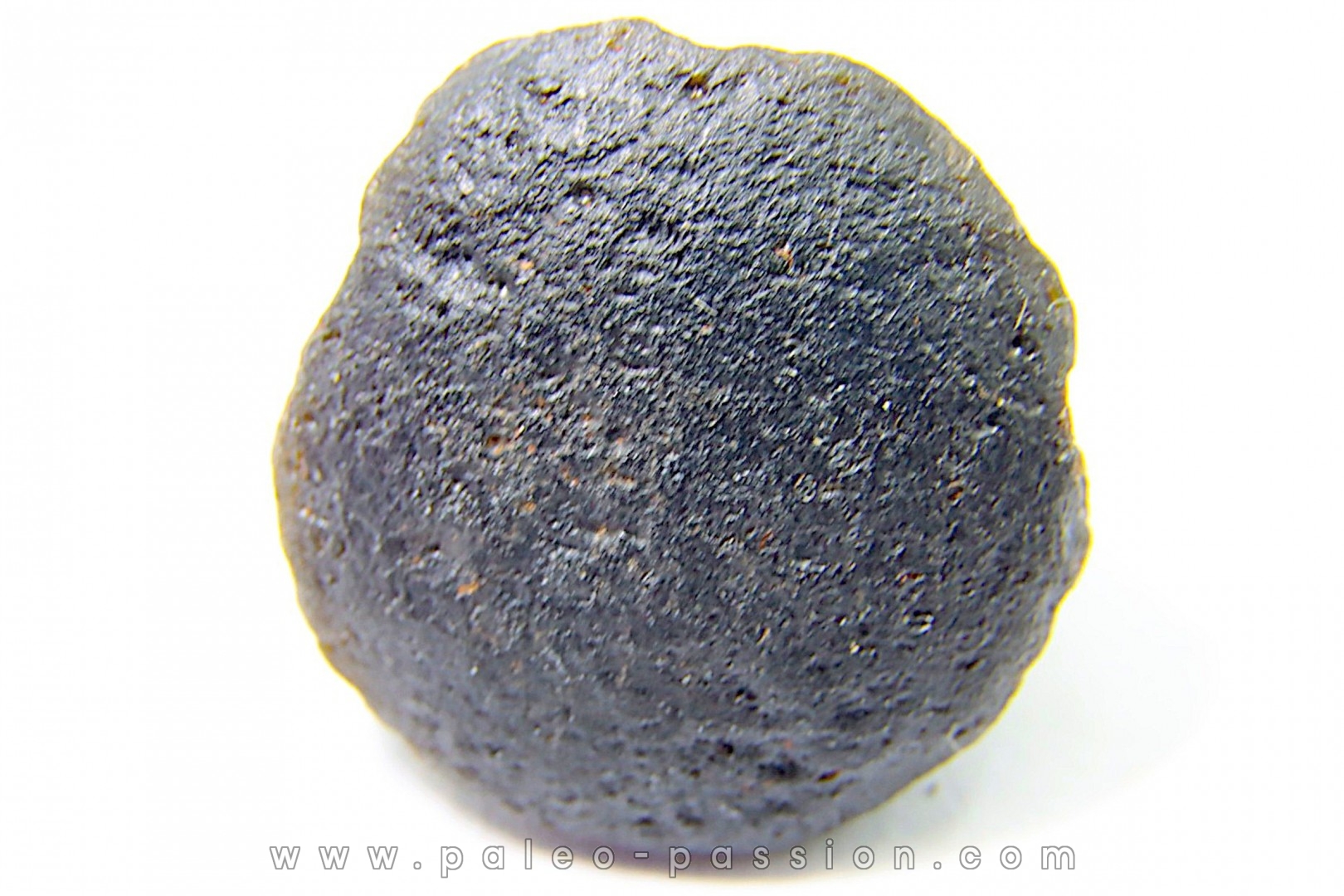 Tectite: AUSTRALITE - Australie