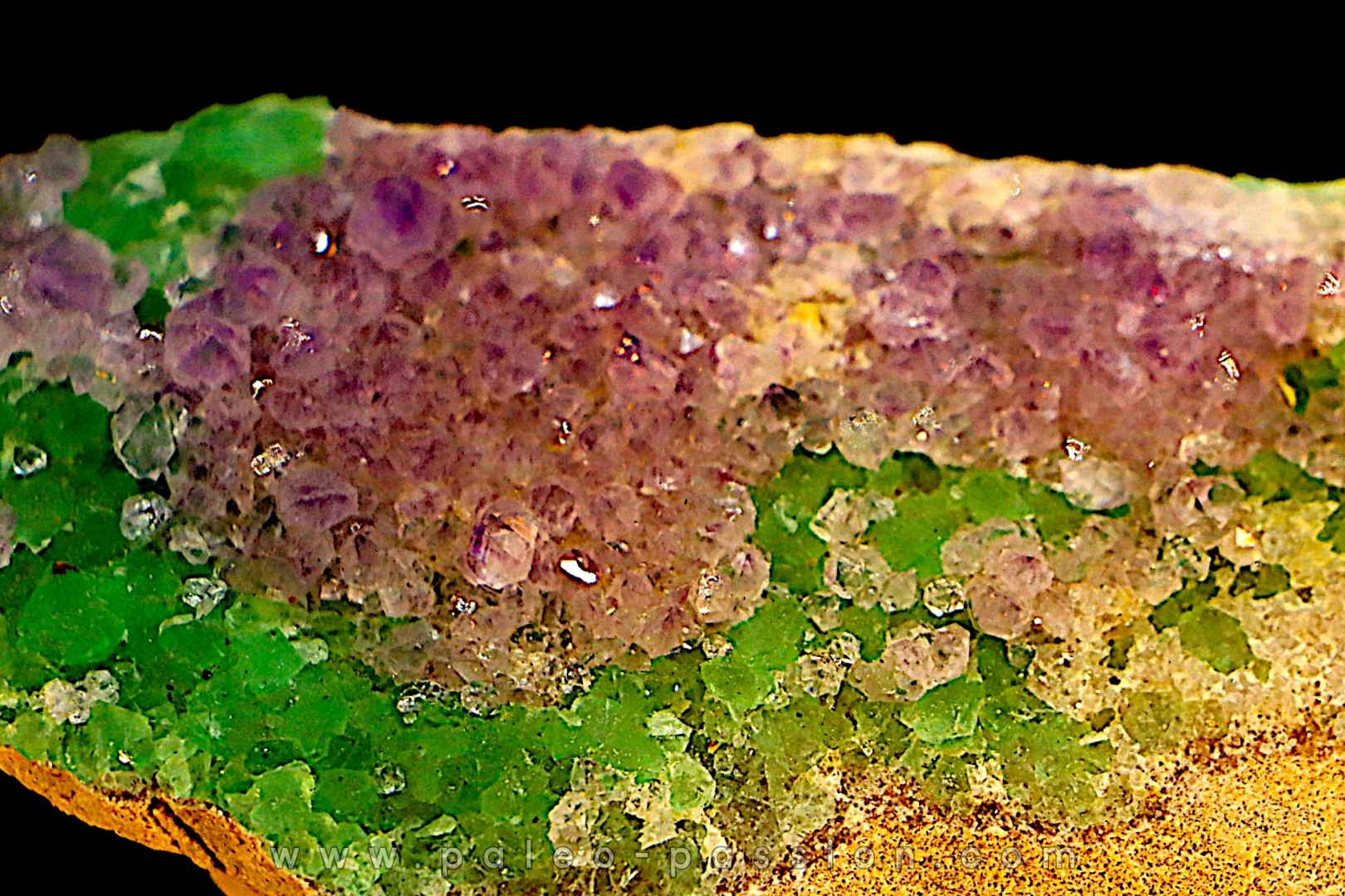 AMETHYSTE sur FLUORITE VERTE - Nancy Hanks Claim Mesa Co., Colorado -USA
